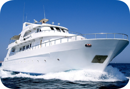  **Ethan Brown** (British)