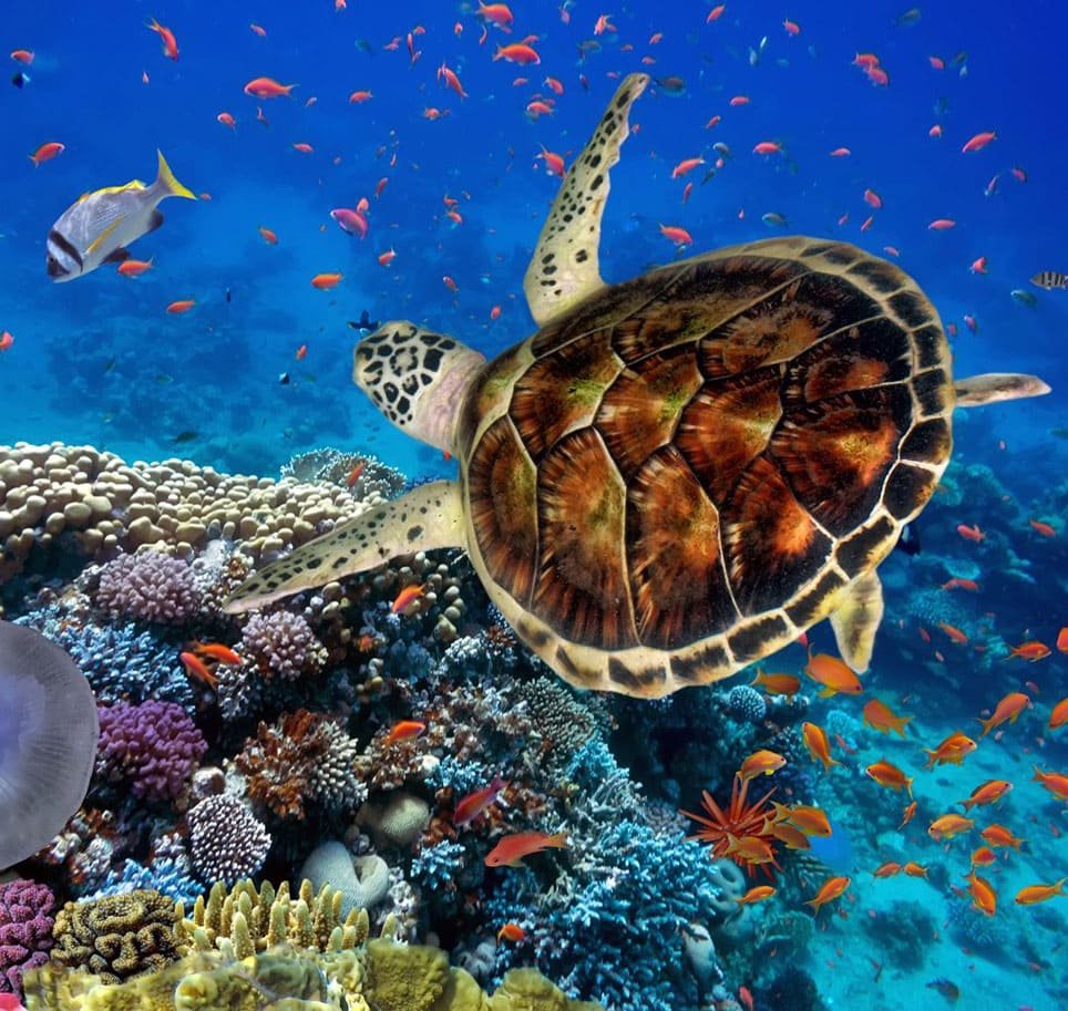 image-banner-0001 (1)