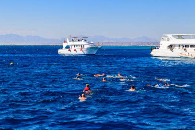 Ras Mohammed National Park by Boat