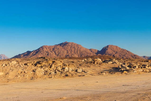 Wadi El Gemal Desert Safari