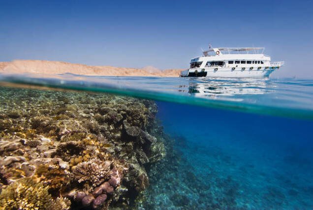 Snorkeling Cruise to Tiran Island – Red Sea Wonders