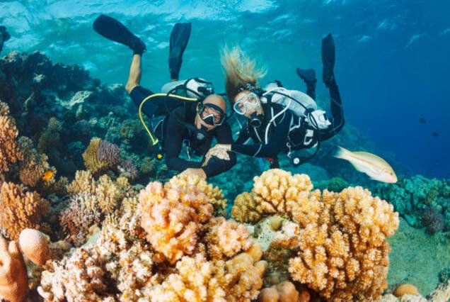 Introduction Diving Hurghada