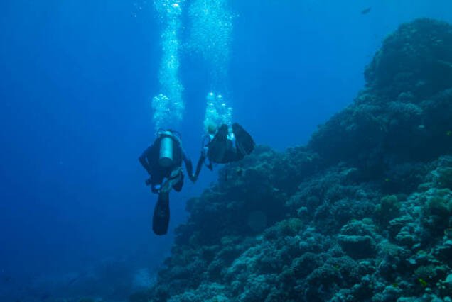 1 Day Professional Diving with License