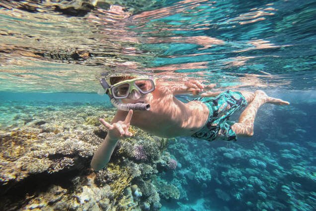 Wadi El Gemal National Park – Safari & Snorkel Combo