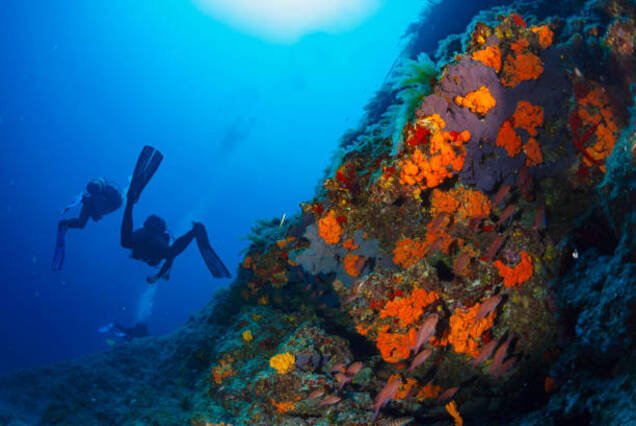 PADI Deep Diver Specialty Course (2 Days)
