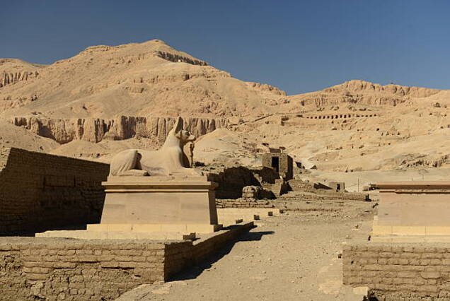 West Bank Full Day Tour