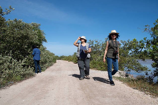 El Qulaan Mangrove Forest & Blue Lagoon