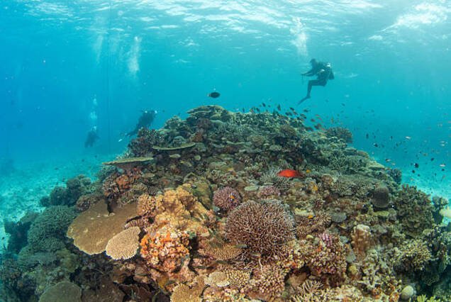 Port Ghalib Marina & Snorkeling Trip