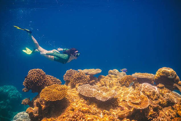 Ras Mohamed National Park by Boat – Red Sea Snorkeling Adventure