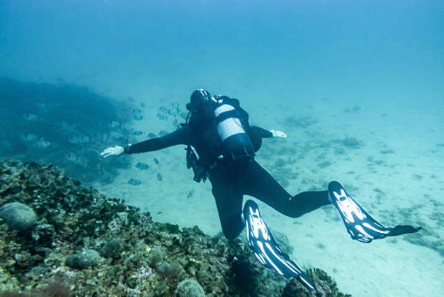 Refresher Diving Course (Scuba Review)