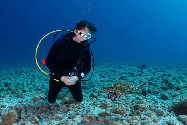 Introduction Diving Experience (Beginners)