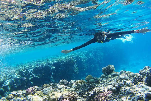Snorkeling Adventure in Alamein Bay