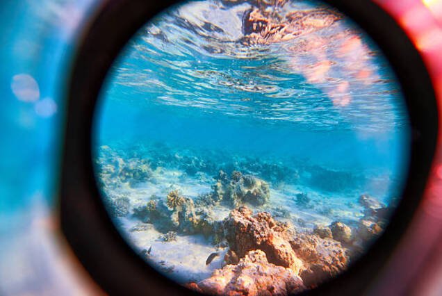 Pharaoh’s Sunset Cruise: Exclusive Semi-Submarine & 5-Star Dinner