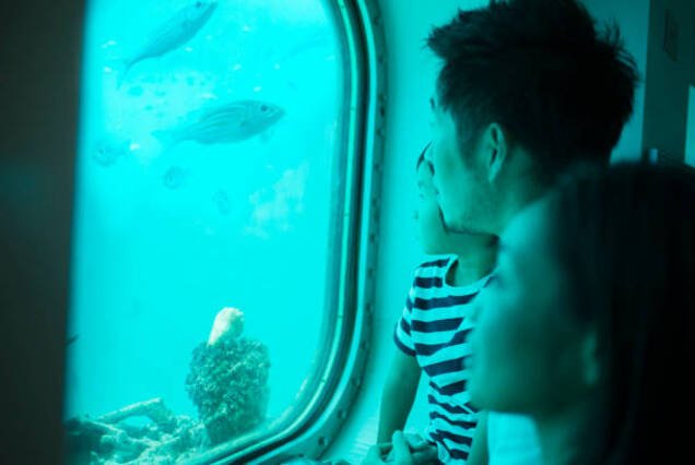 Paradise Island Snorkeling & Glass Boat