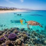 The Pure Coastal luxury travel — Red Sea Snorkeling Safaris – Best Sites, P