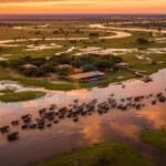 The Pure Coastal — Botswana Luxury Safari Guide 2026 | Africa's Ultimate Wildlife Sanctuary