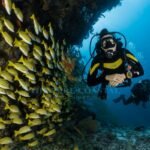 The Pure Coastal — French Polynesia luxury travel guide 2026