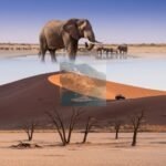 Namibia luxury travel 2026 — The Pure Coastal