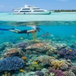 The Pure Coastal — Snorkeling Liveaboard Safaris Worldwide 2026 | Discover the Ocean Without Limits