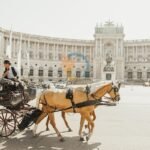 The Pure Coastal — Vienna, Austria luxury travel guide 2026