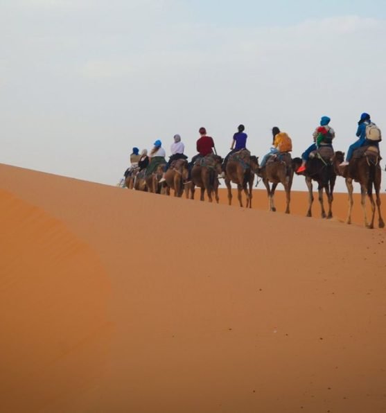 excursionmarrakech-maroc2