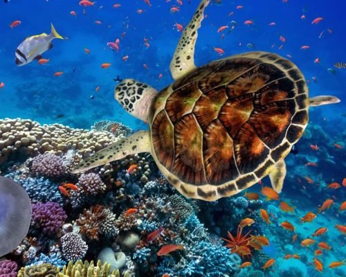 image-banner-0001 (1)